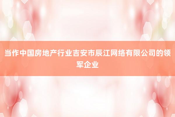 当作中国房地产行业吉安市辰江网络有限公司的领军企业